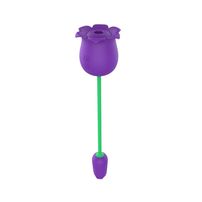 Estimulador 2 Em 1 Com Formato De Flor Importação