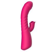 Vibrador E Estimulador De Ponto G E Clitóris Com Vai E Vem Importação
