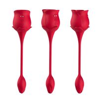 Vibrador Duplo Flexível Em Formato De Rosa Importação