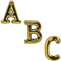 Letras Douradas Com Detalhe Em Strass Para Personalização Hard